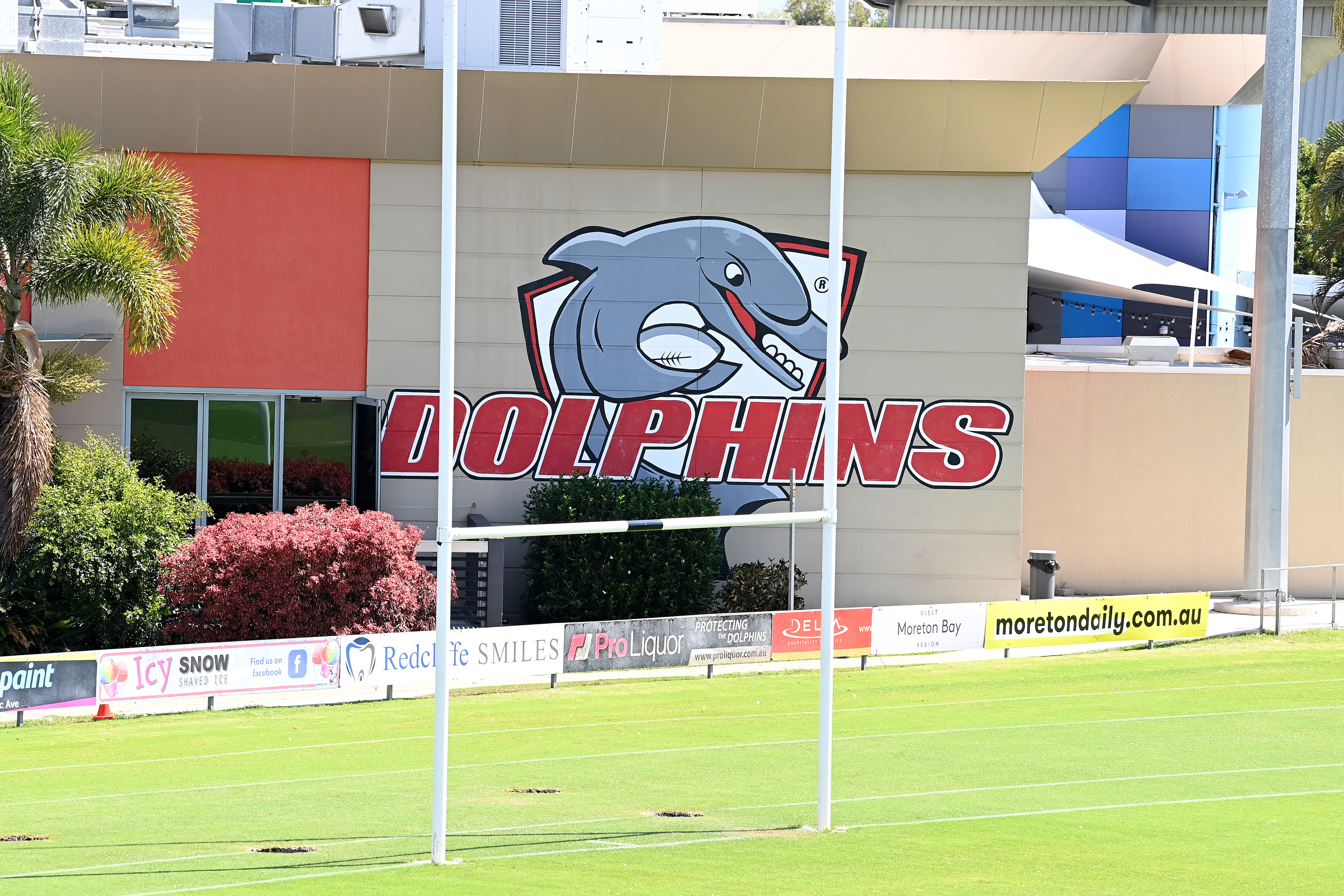 Dolphins hit the ground running with first full training session