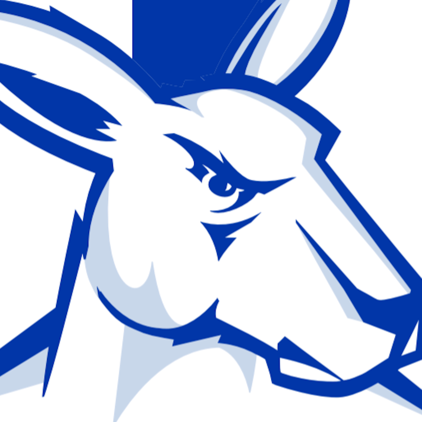 North Melbourne AFL Fantasy preview 2024