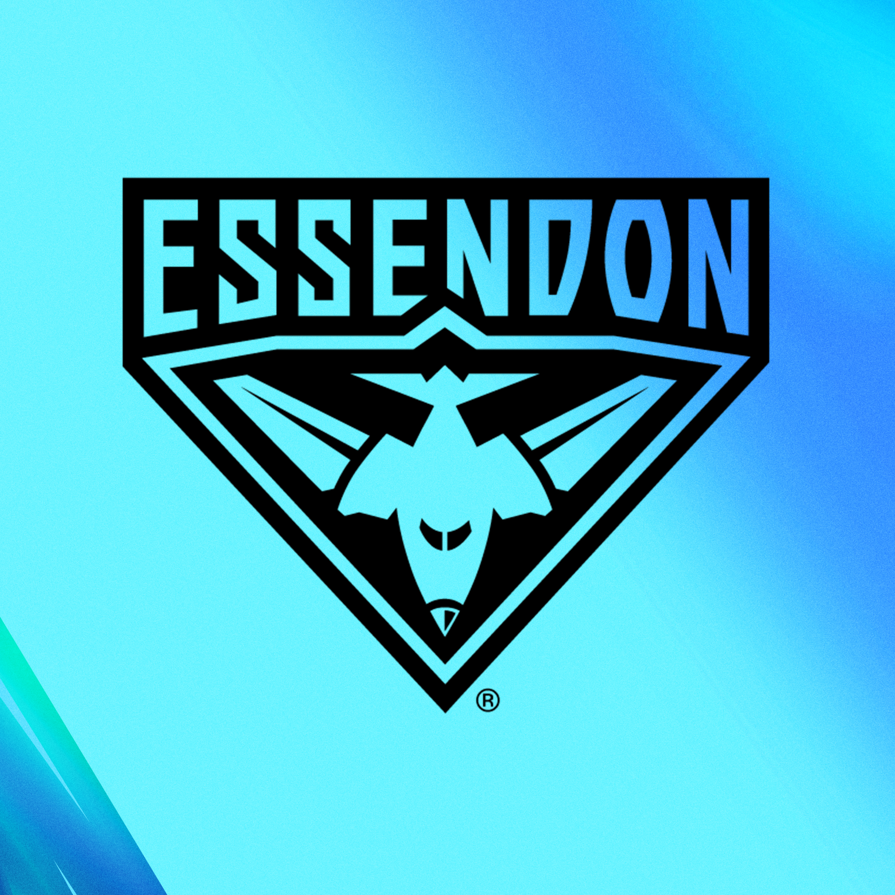 Essendon 2025 AFL Fantasy preview