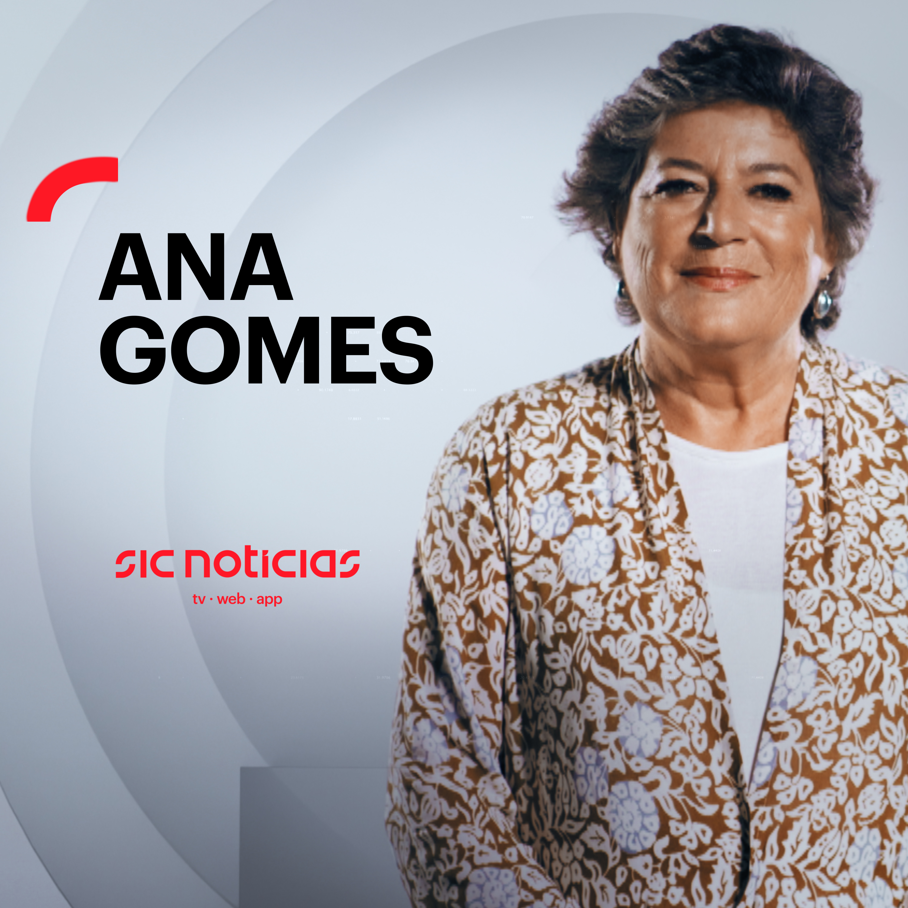 Ana Gomes: “Os privados continuam a canibalizar o Sistemas Nacional de Saúde”