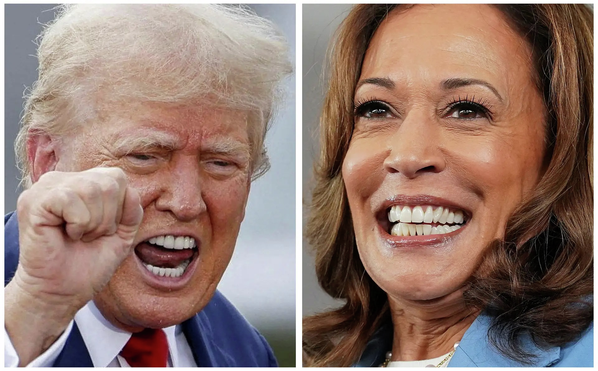 “É um erro os republicanos continuarem a insistir no tema da fraude”: o que esperar de Trump e Harris nos últimos 50 dias de campanha?