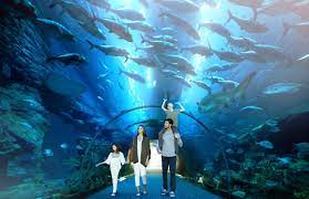 Indore zoo me ab hoga underwater fish aquarium - RJ Venu _..