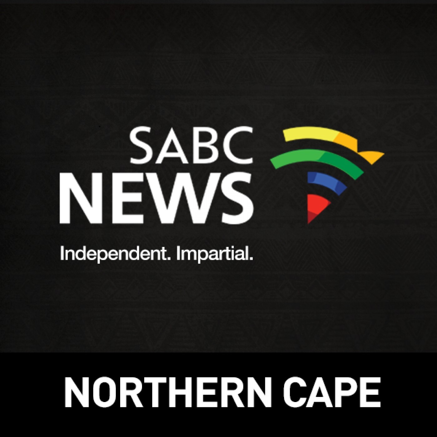 Former Sol Plaatje Municipality Speaker and ANC member has accused the ANC in the Northern Cape of failing her