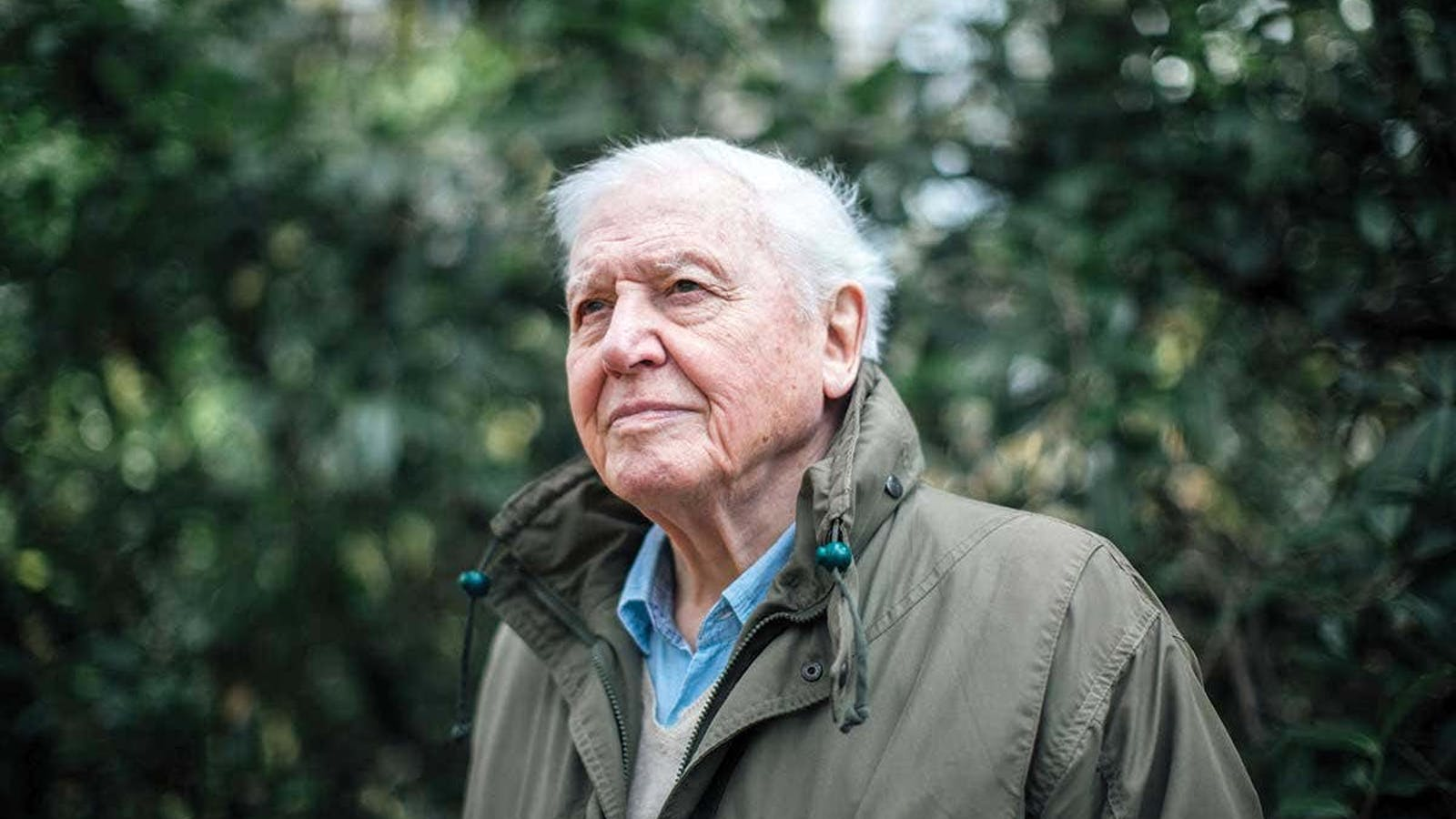 David Attenborough helps us understand the Gauteng Earthquake