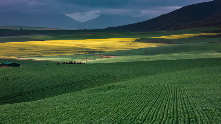 Wat is die waarheid oor die regering se SEB-vereistes in landbou?