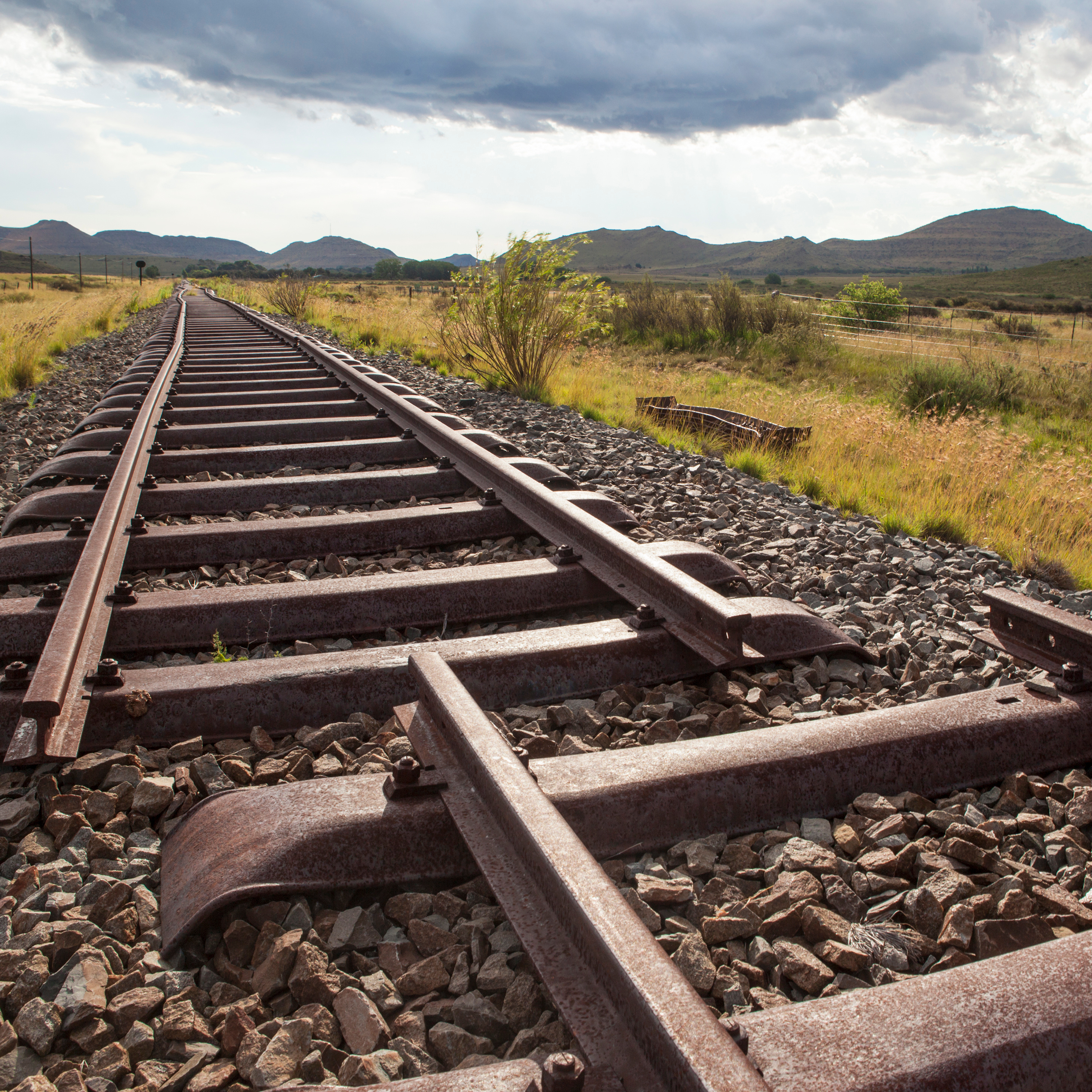 ‘Gebrekkige Transnet kos SA miljarde’