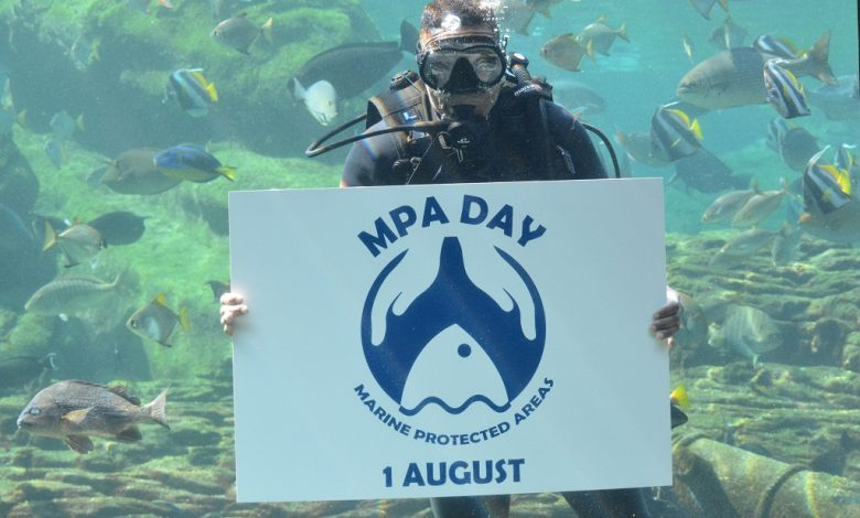 #PODCAST MPA Day 2024: Experts urge government to enforce stricter regulations around preserving marine ecosystems #sabcnews