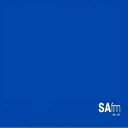 After the vigilante attacks over the weekend in Diesploot, its emerged that the number of murders in the settlement has almost doubled since the start of the year - in just three months thirty five people have been killed there.