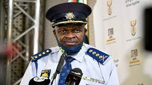 A call on Police Minister Bheki Cele to be fired as well