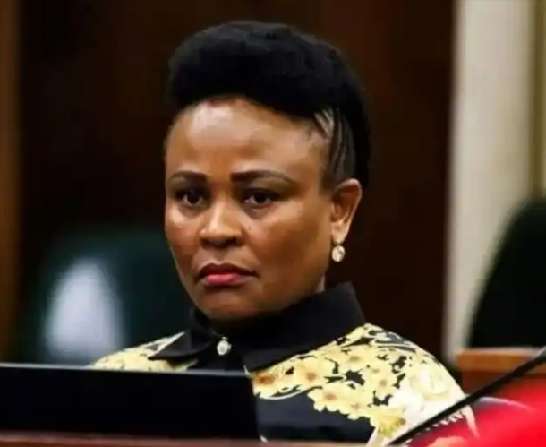 PUBLIC PROTECTOR