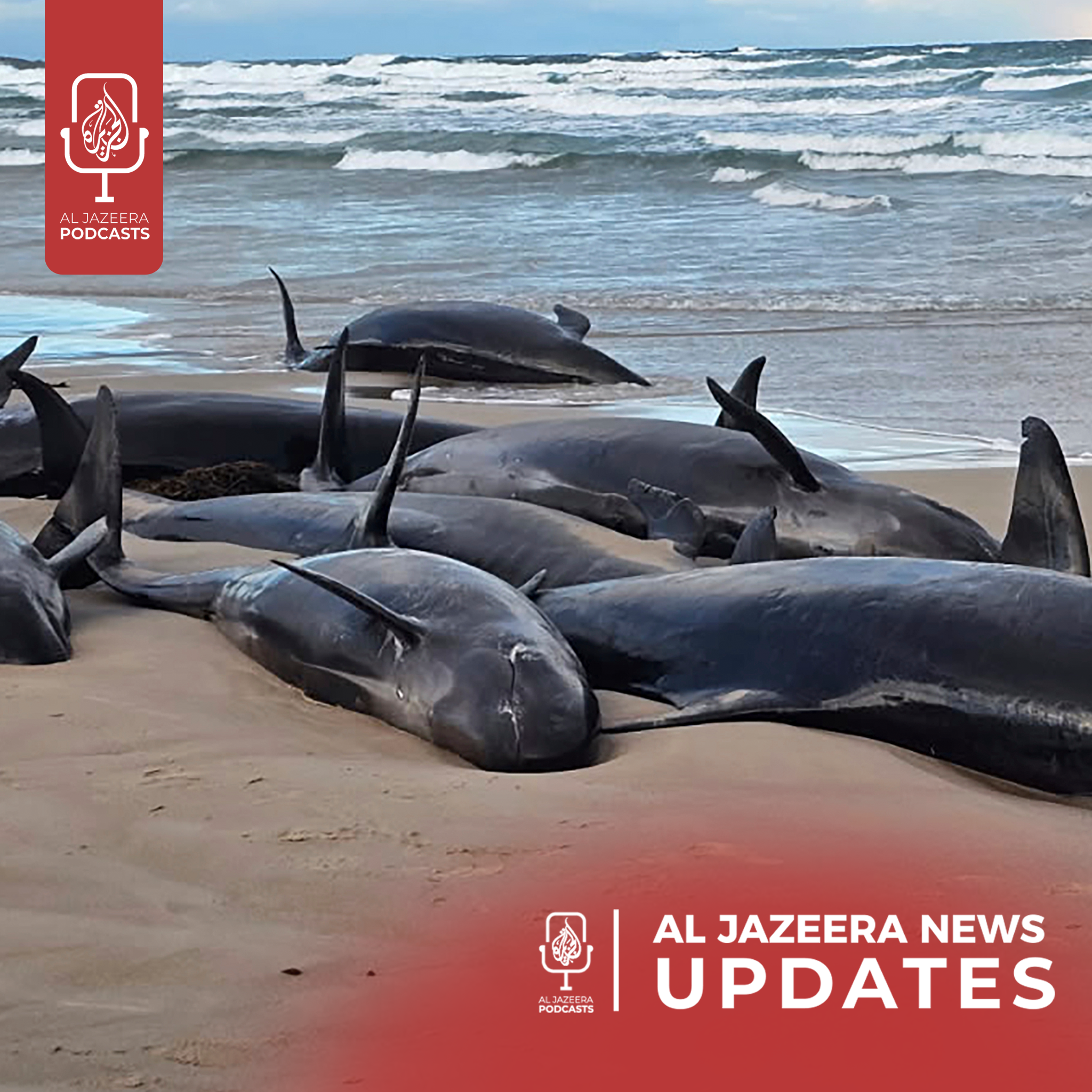 Bolsonaro formally indicted, 157 false killer whales stranded in Australia - podcast episode cover