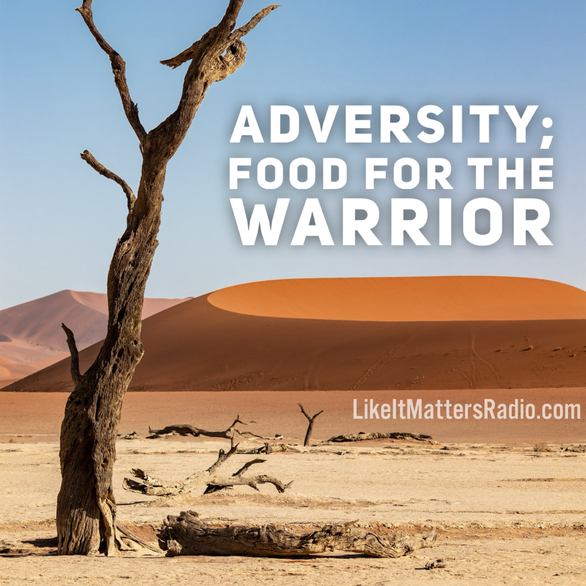 LIM Radio S10E2 Adversity: Food for Warriors - podcast episode cover