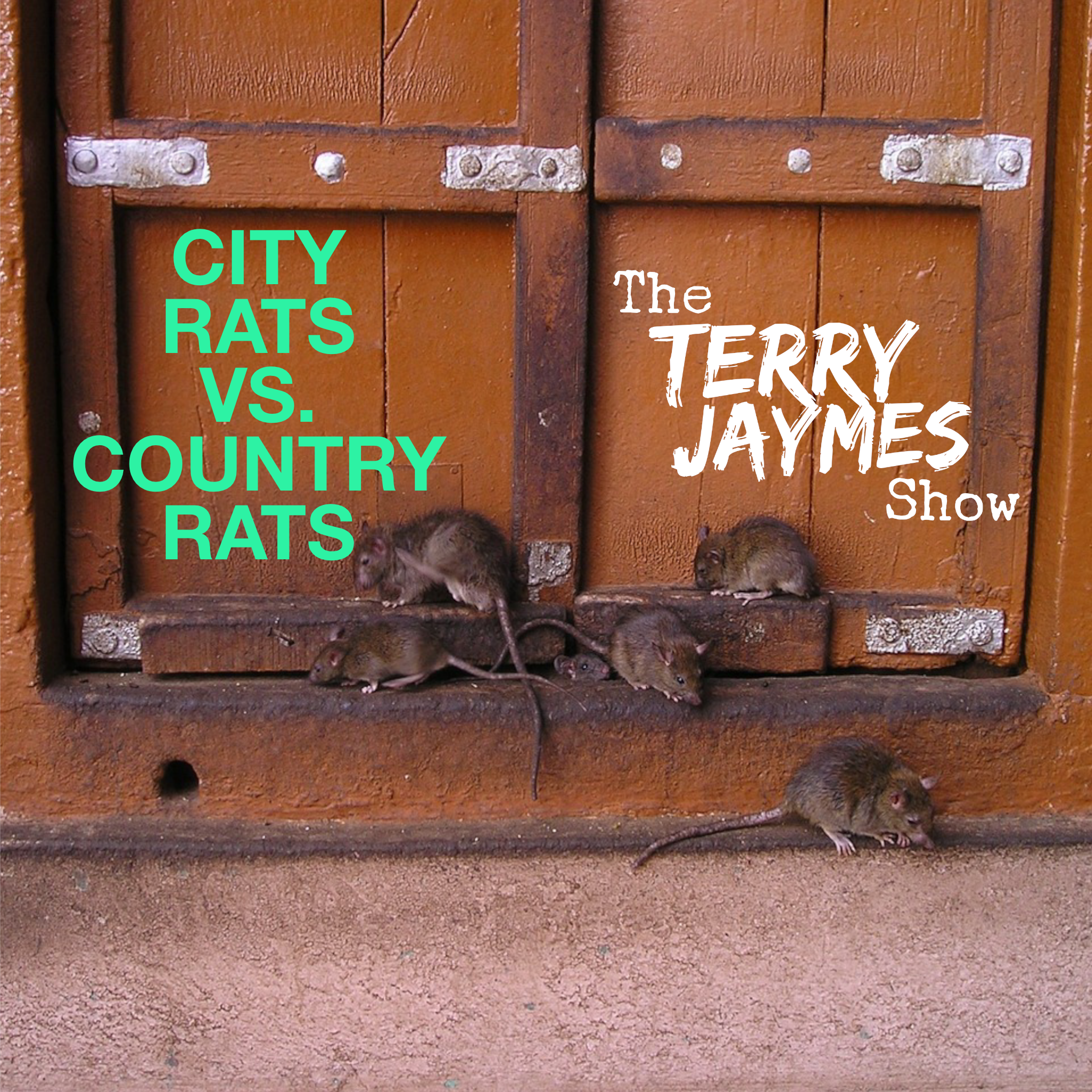 CITY RATS VS. COUNTRY RATS