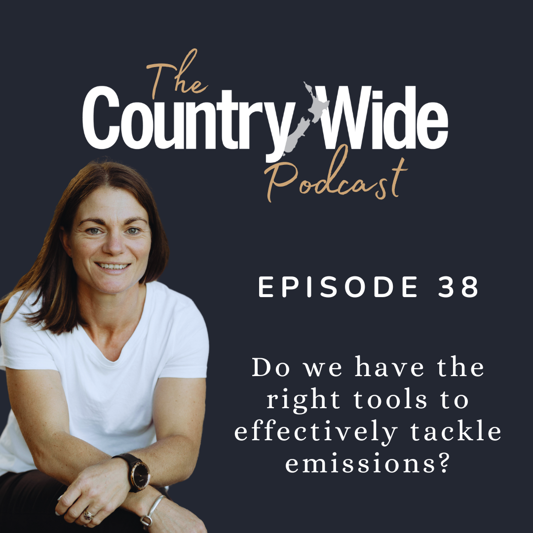 Episode 38 - Do we have the right tools to effectively tackle emissions?