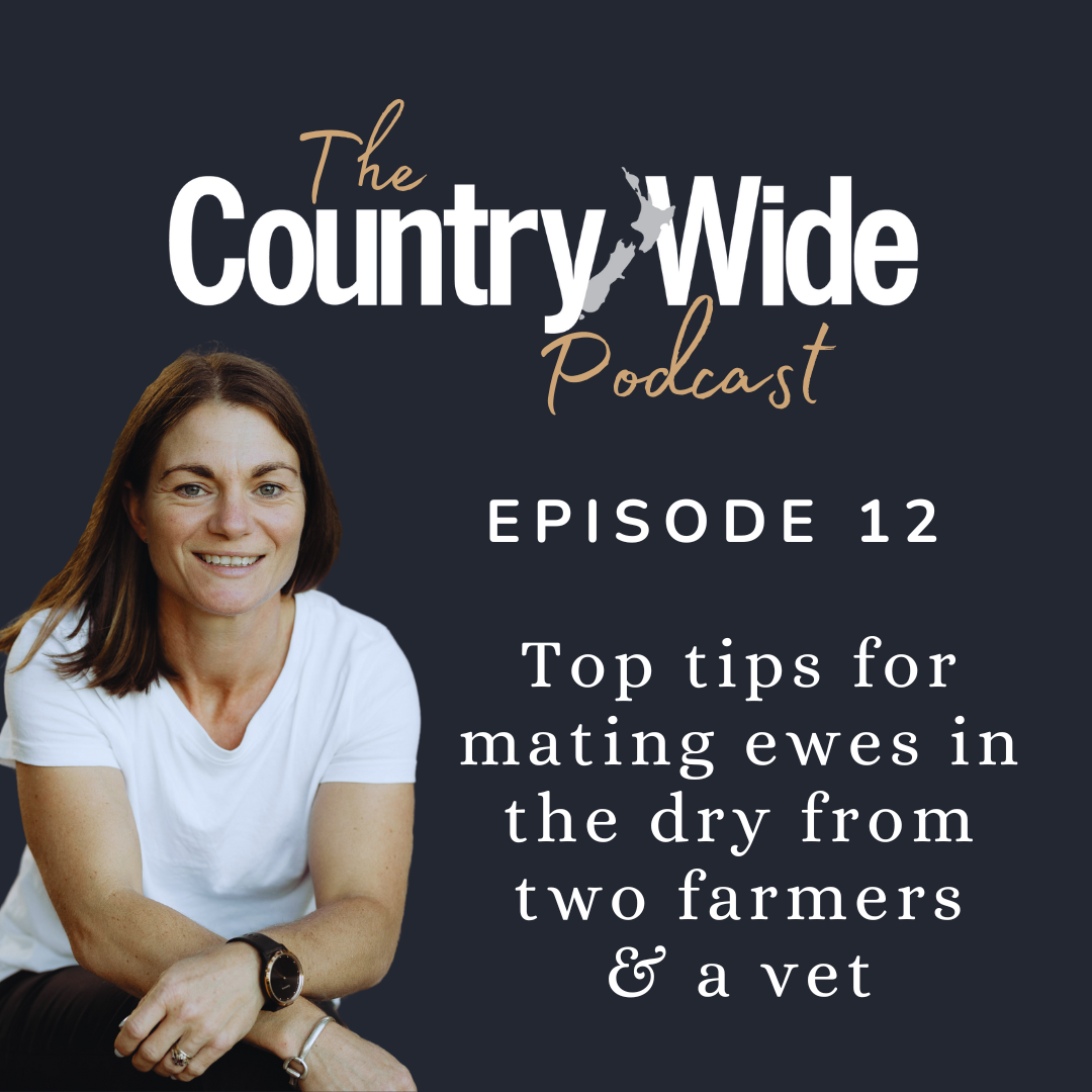 Episode 12 - Top tips for tupping in the dry from two farmers & a vet
