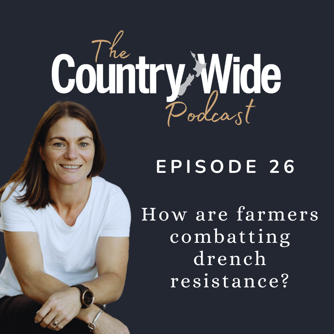 Episode 26 - How are farmers combatting drench resistance?