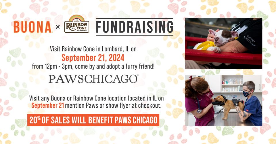 Meet Your Best Friend at the PAWS Chicago Adoption Event at Rainbow Cone in Lombard Tomorrow Afternoon!