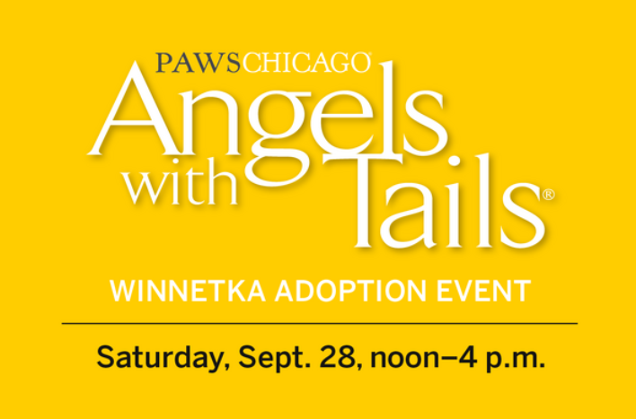 Discover Your Forever Friend at this Saturday’s Angels with Tails in Downtown Winnetka