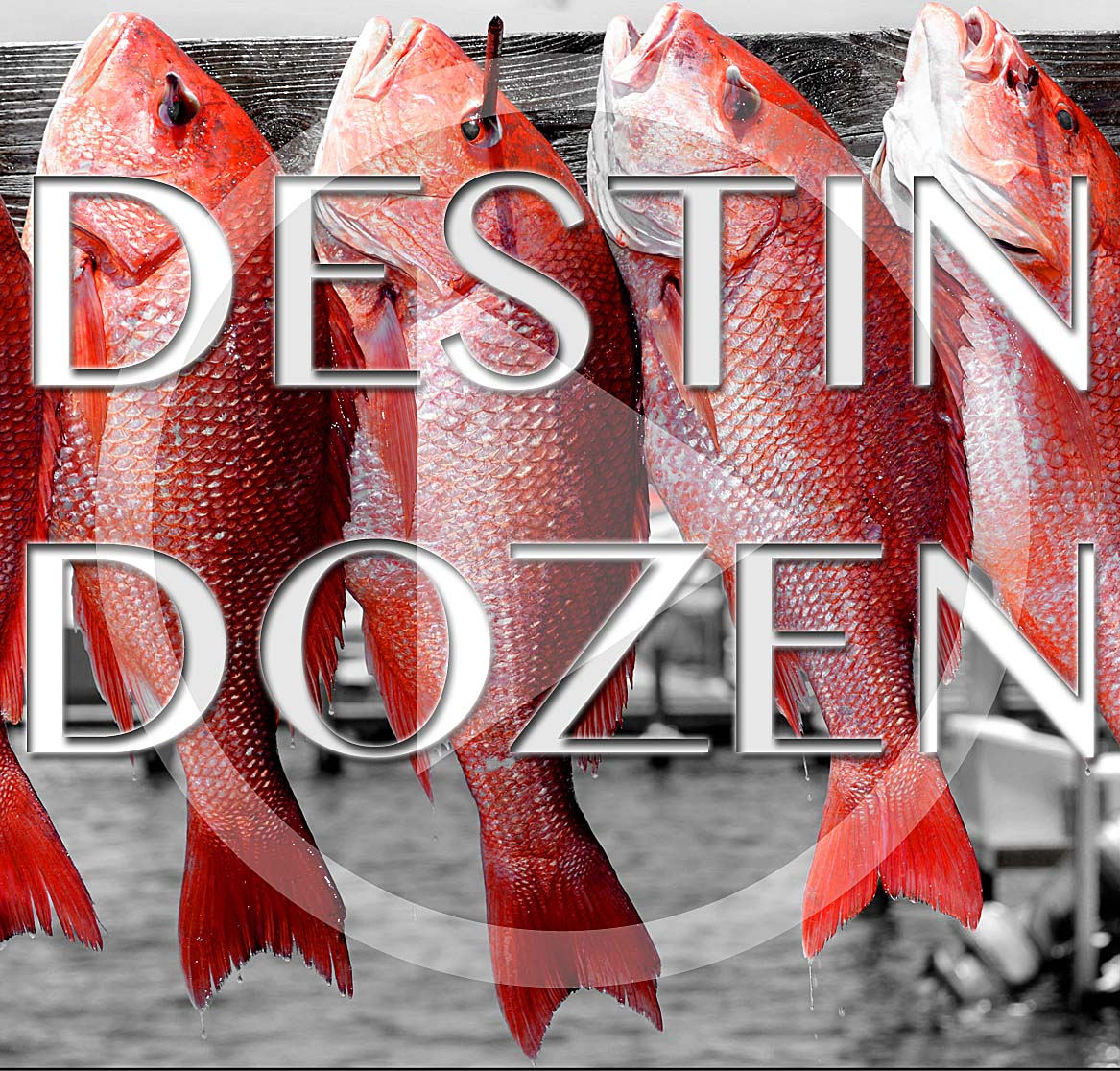 DESTIN DOZEN: Episode 5 - Spooky edition, Halloween events, and Rodeo news