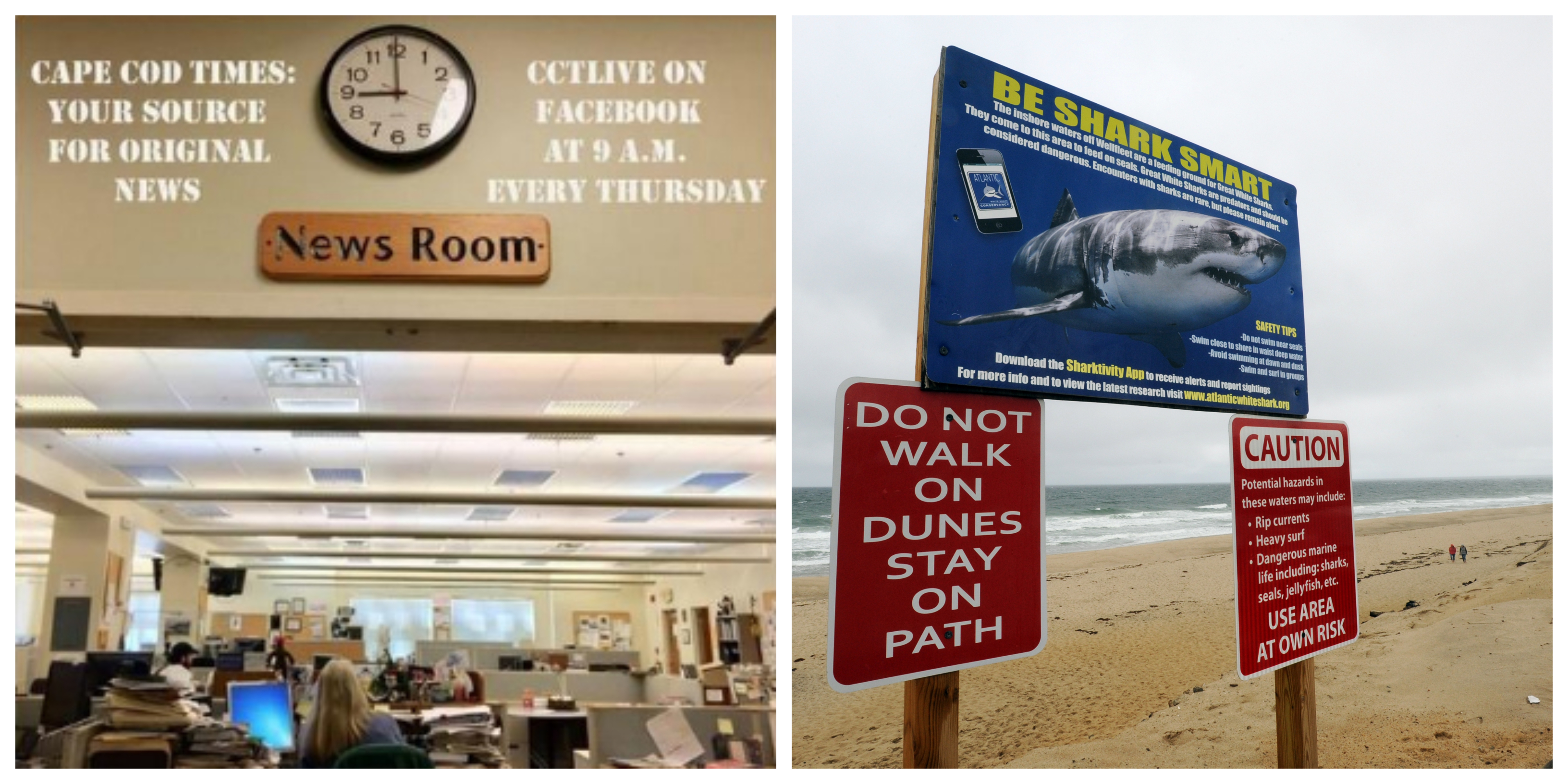 CCTLive:  What you must know about the fatal shark attack in Wellfleet