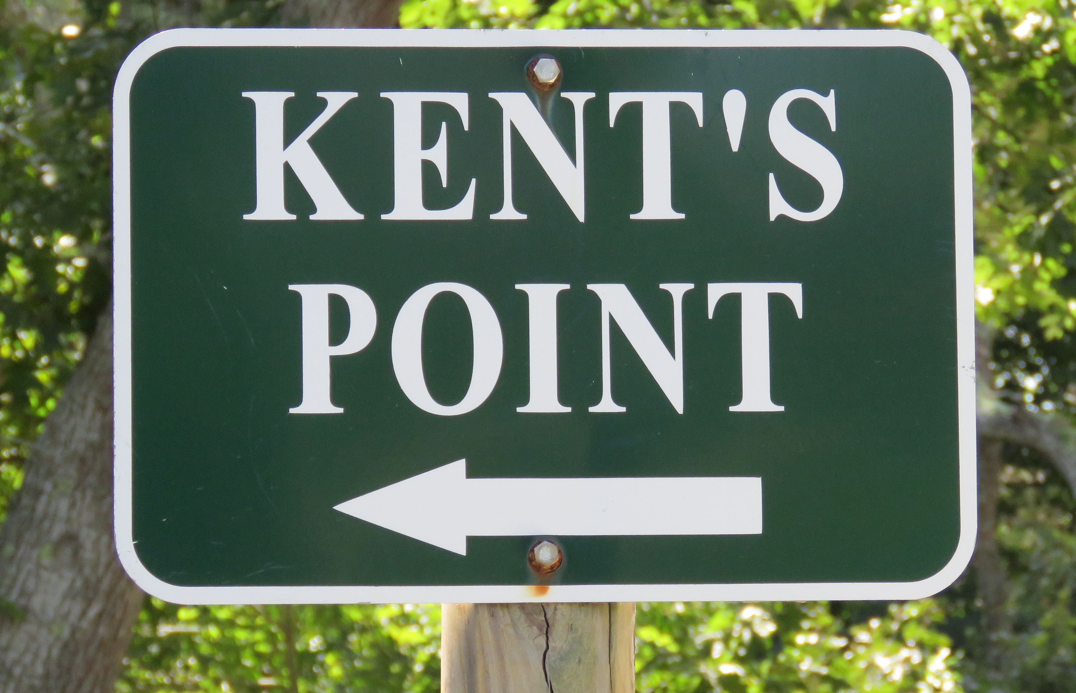 Hiking Kent’s Point in Orleans!