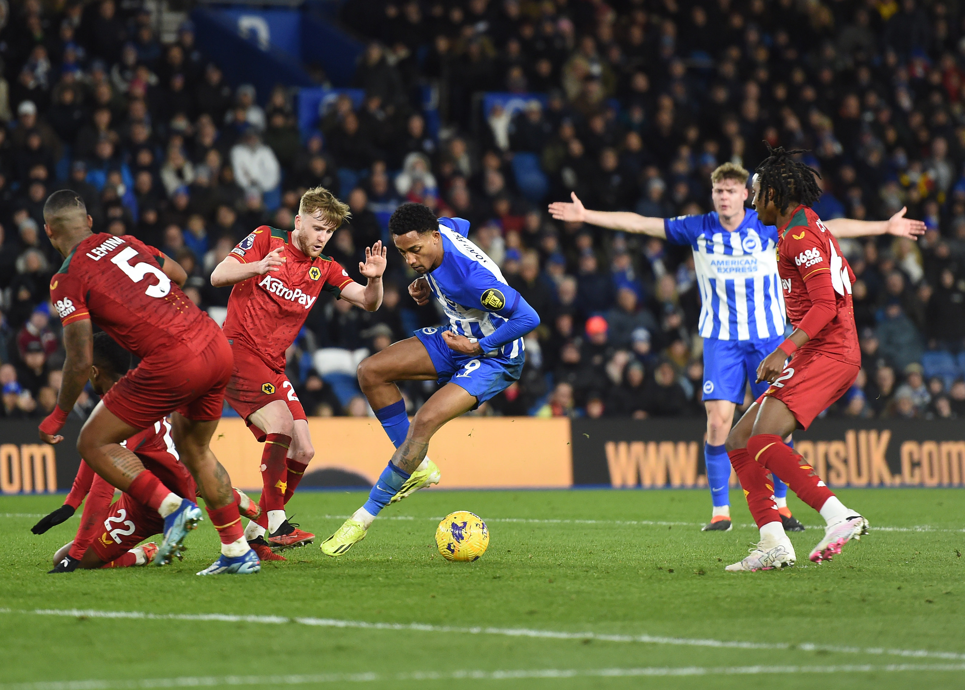 Stalemate at the Amex - Brian Owen reviews Albion v Wolves