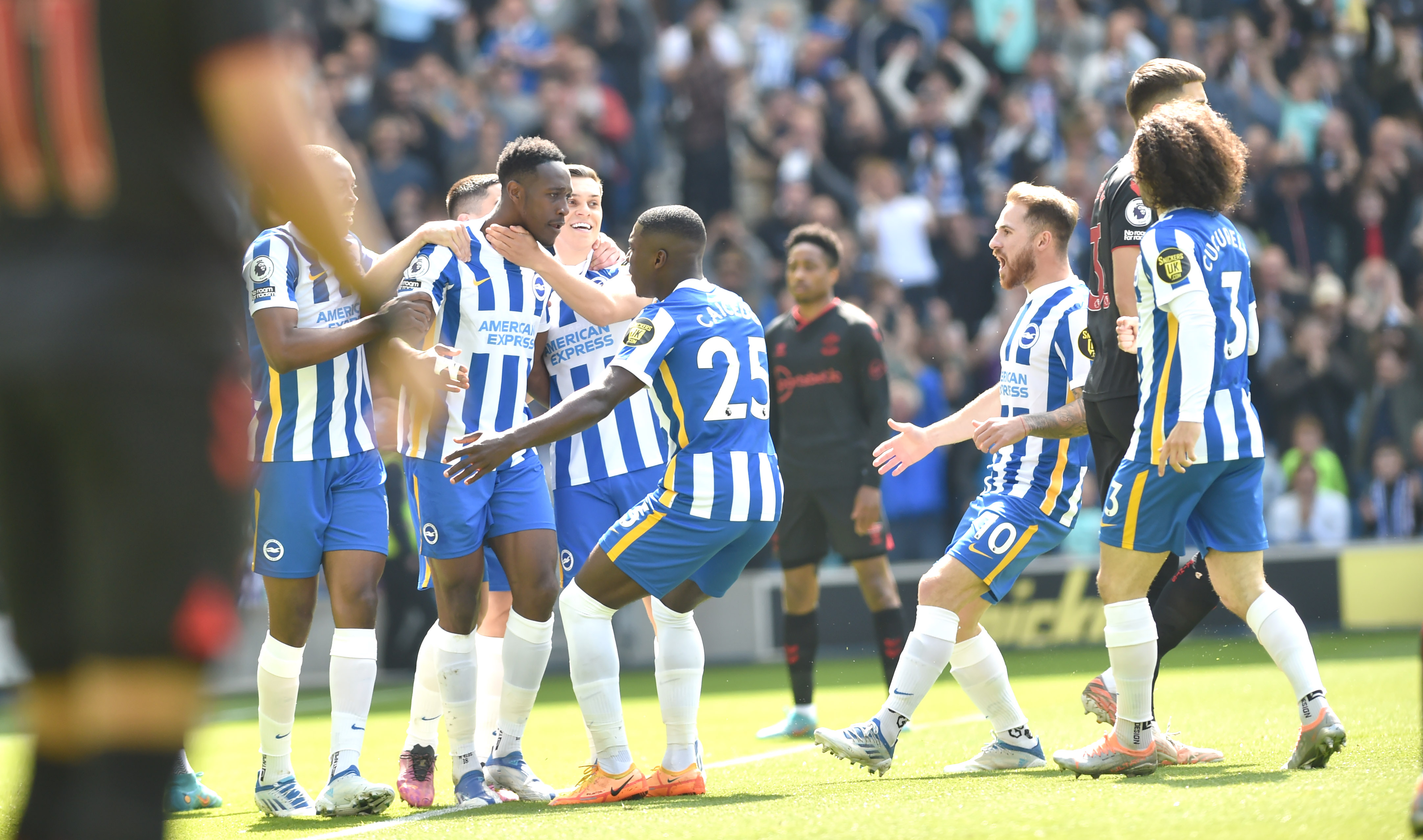   Brian Owen reviews Brighton 2 Southampton 2