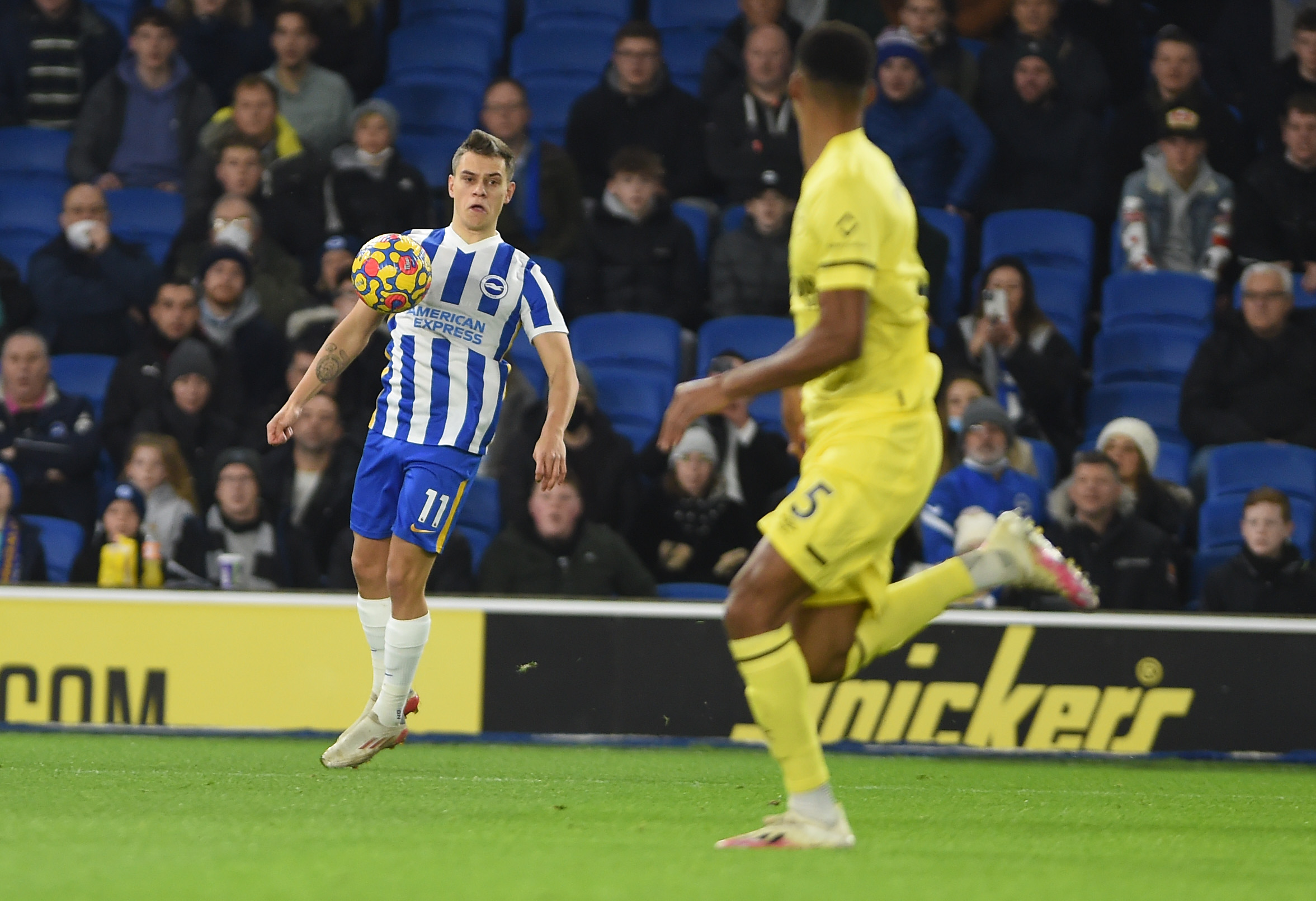 Brian Owen reviews Brighton's 2-0 win over Brentford