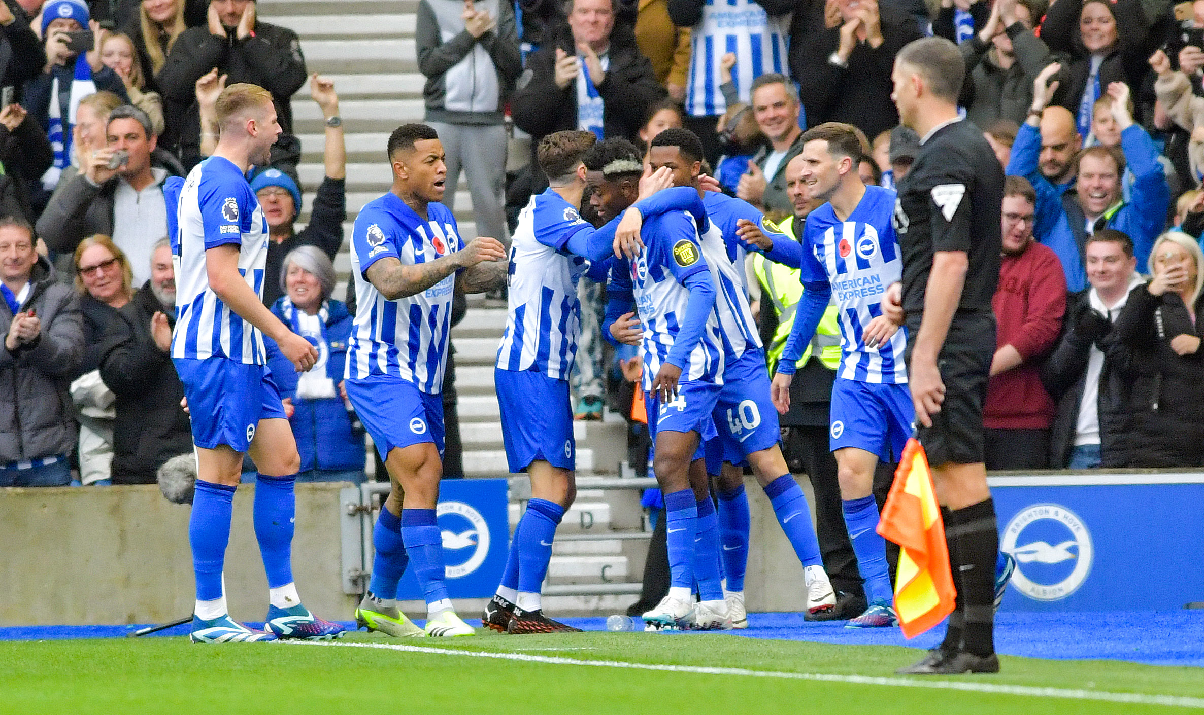 Brian Owen reviews Albion's 1-1 draw with Sheffield United - and a rare red card