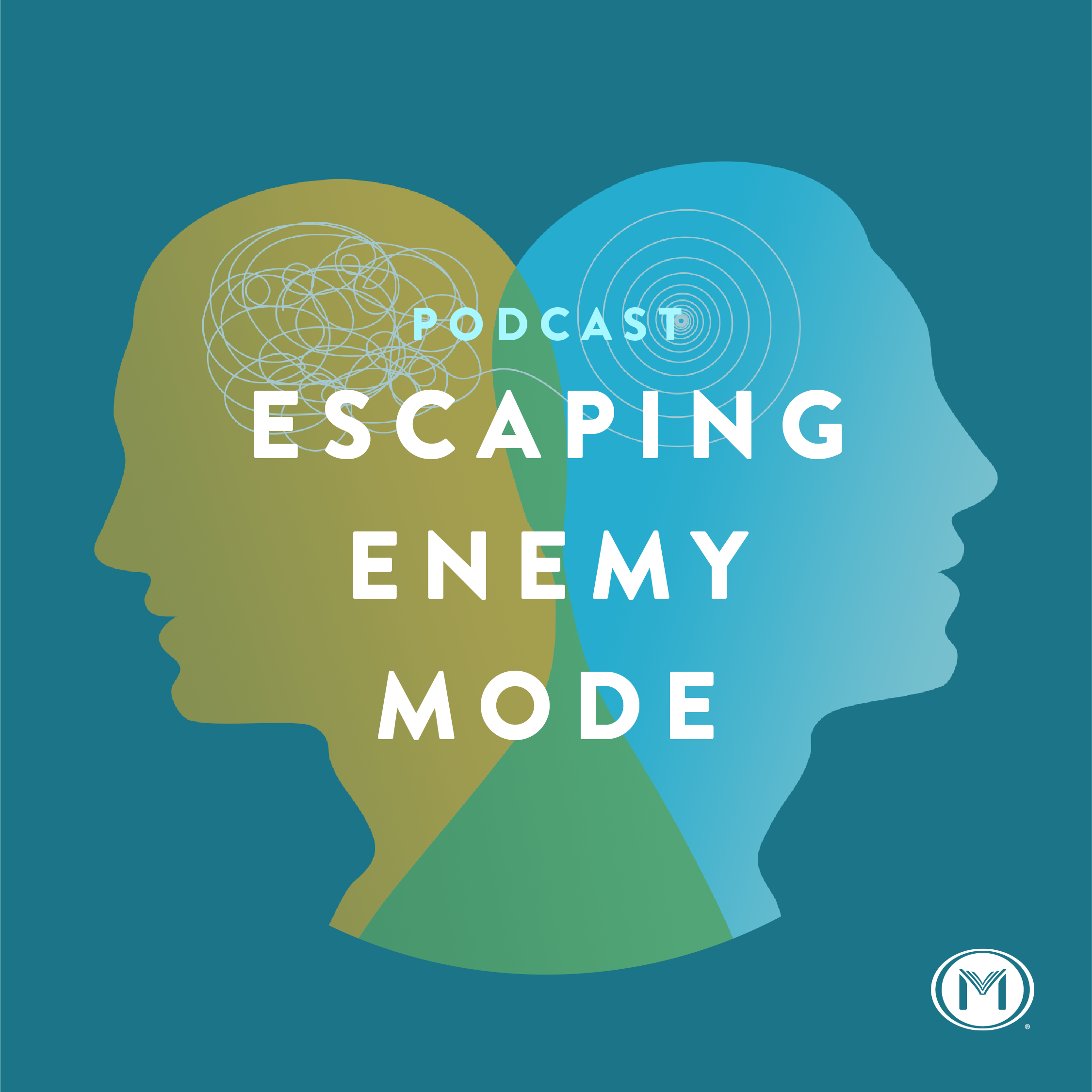 What is Enemy Mode?
