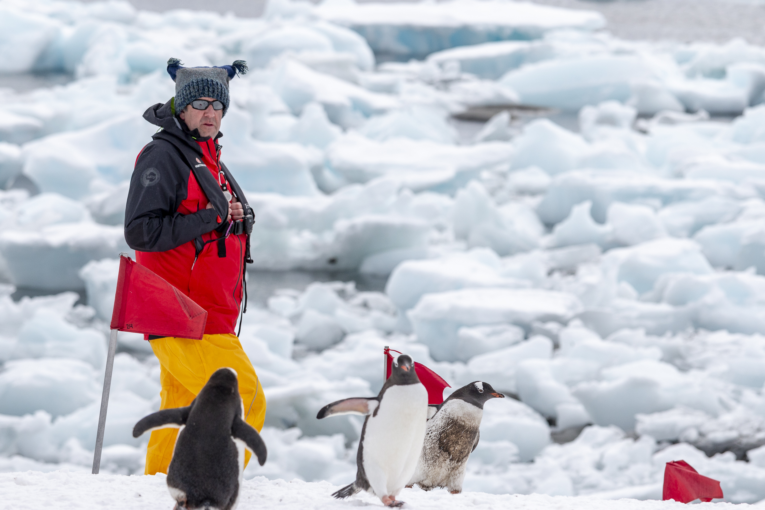 Working In Antarctica: “I Am My Weirdest Self!”