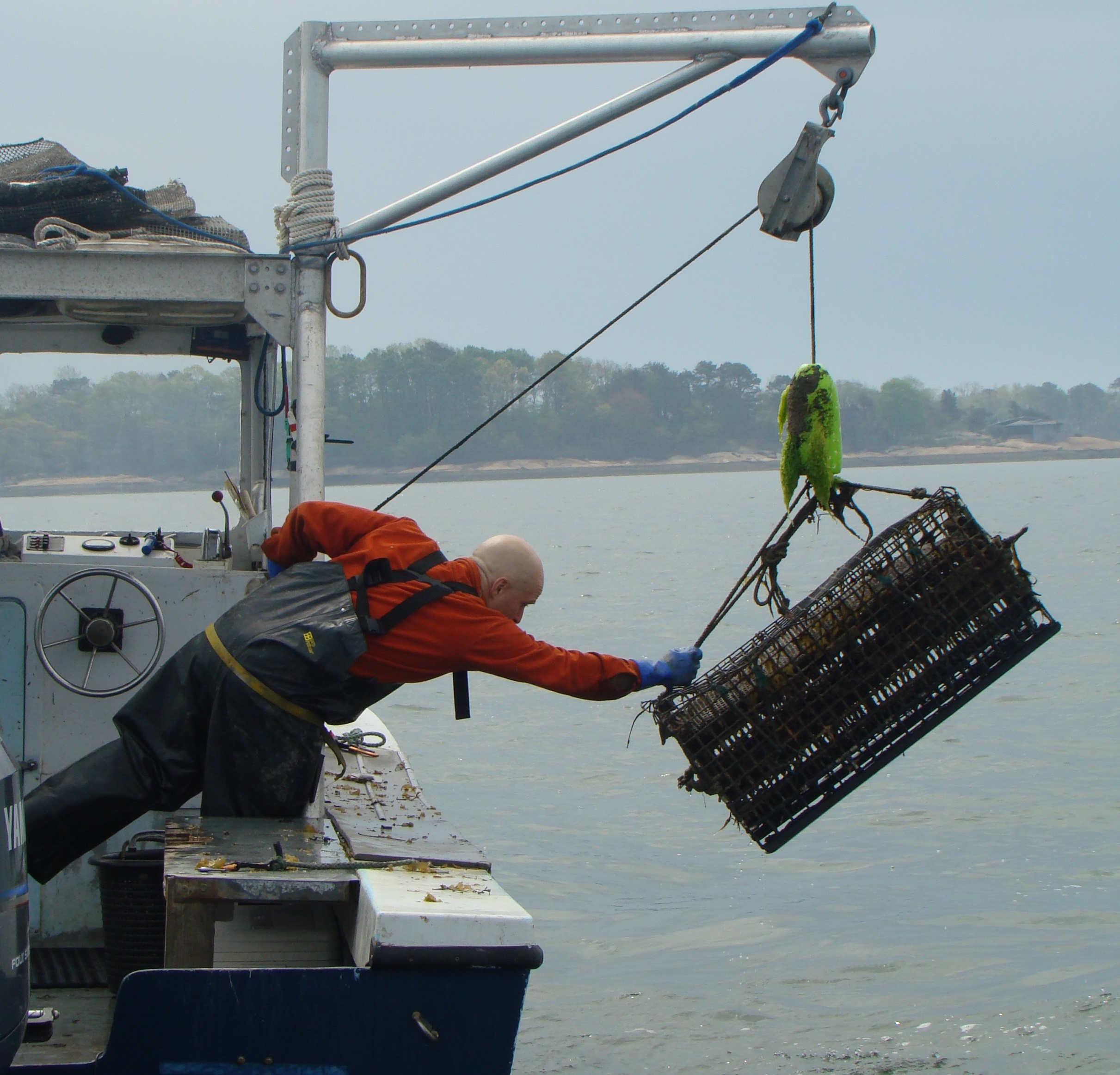 Episode 150: Restorative Ocean Farming; Logging By Hand