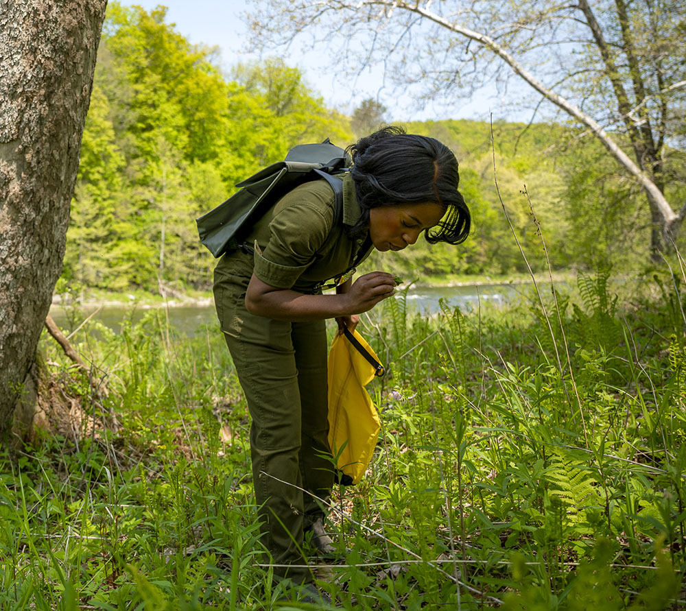 Foraging with Chrissy Tracey and Mohegan elder Chris “Painted Turtle” Harris
