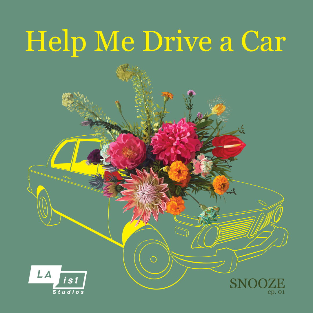 S1E1: Help Me Drive a Car