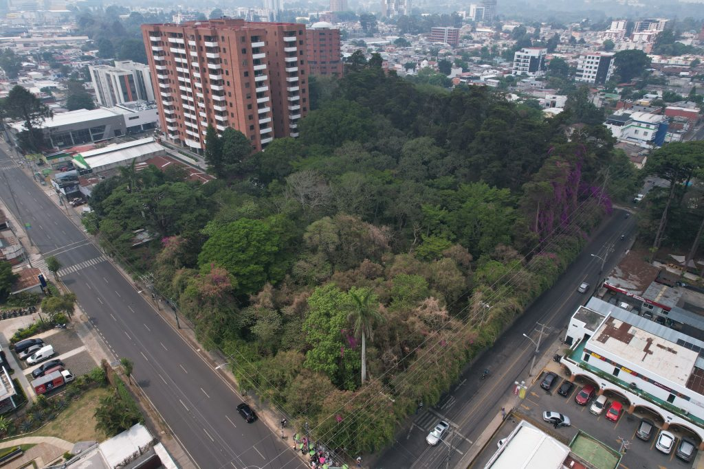 Esto podría pasar con el Bosque del Acueducto en zona 10