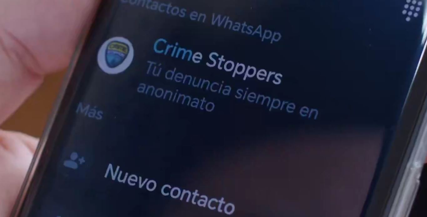 ¿Denuncias anónimas por WhatsApp? Así funciona el nuevo canal de Crime Stoppers