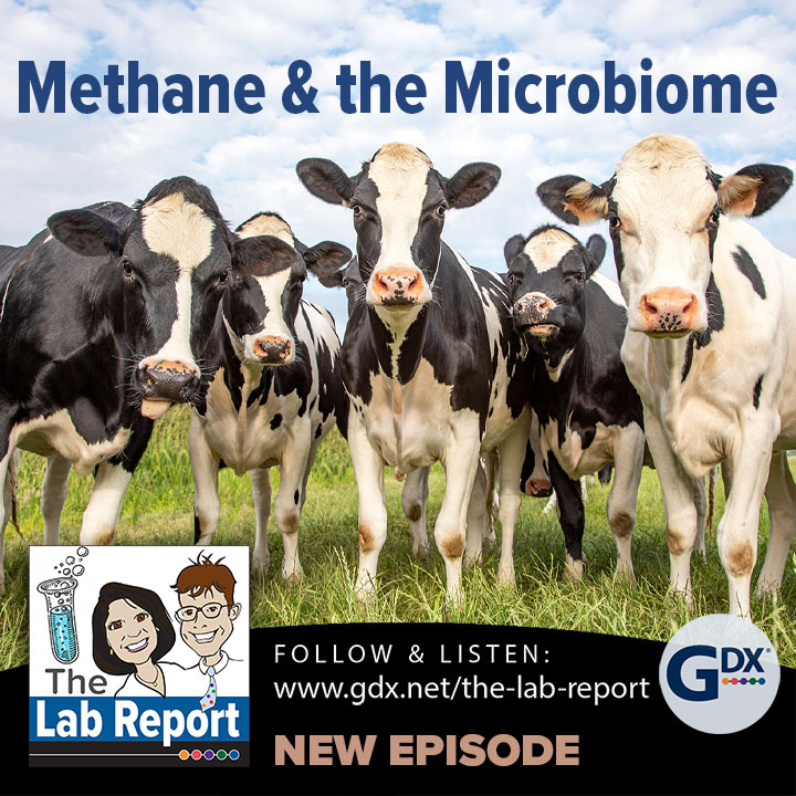 Methane & The Microbiome