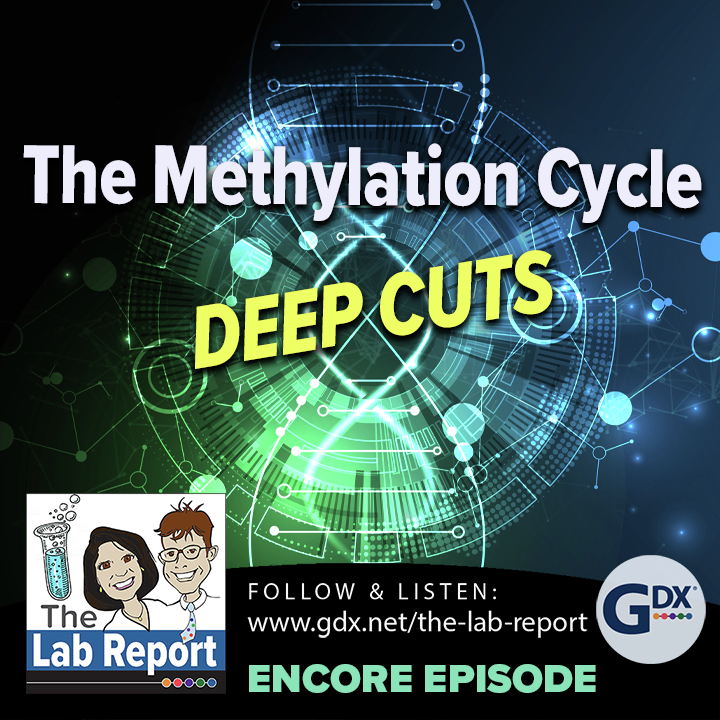 The Methylation Cycle: Deep Cuts