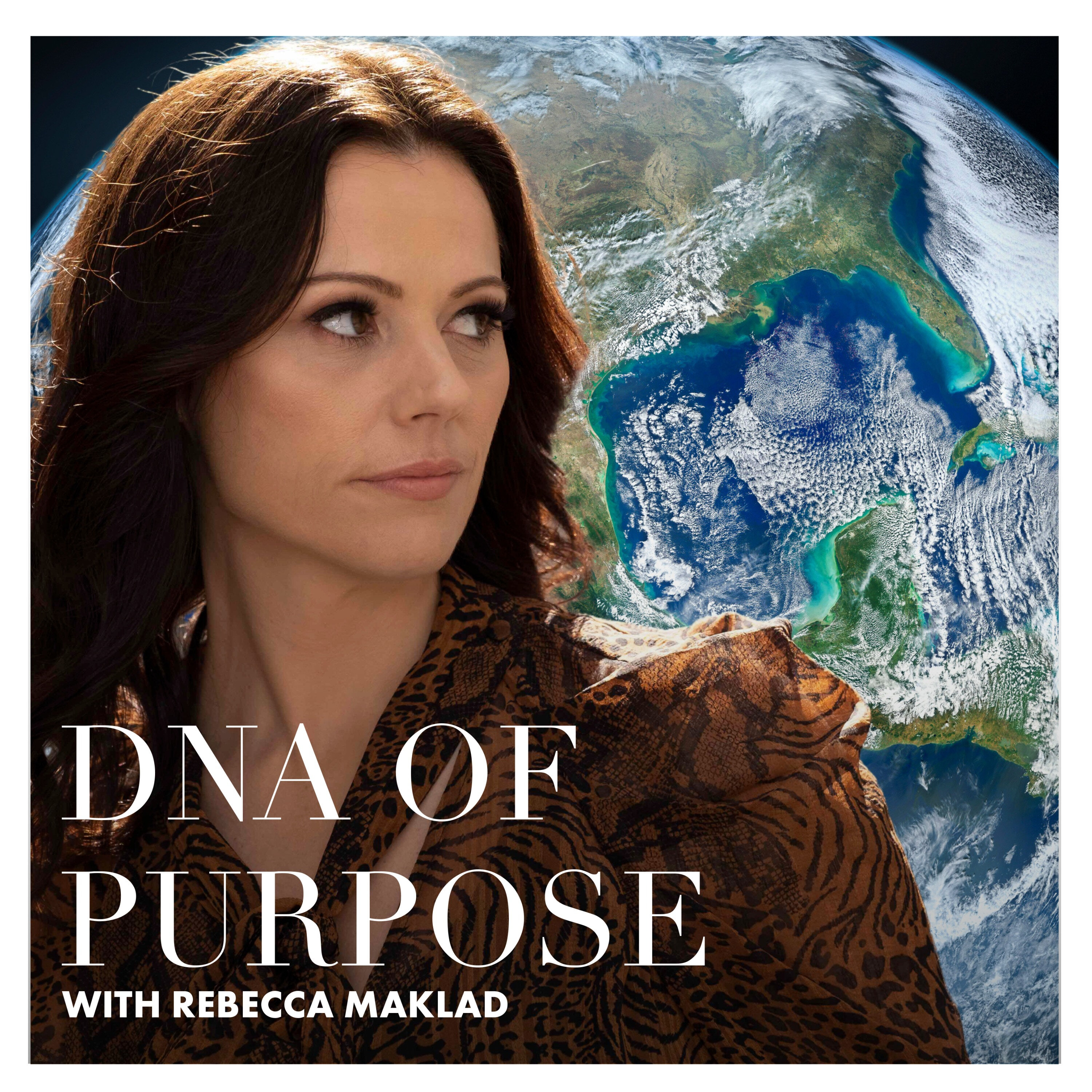 Ryan Berman: Purpose & The Central Courage System