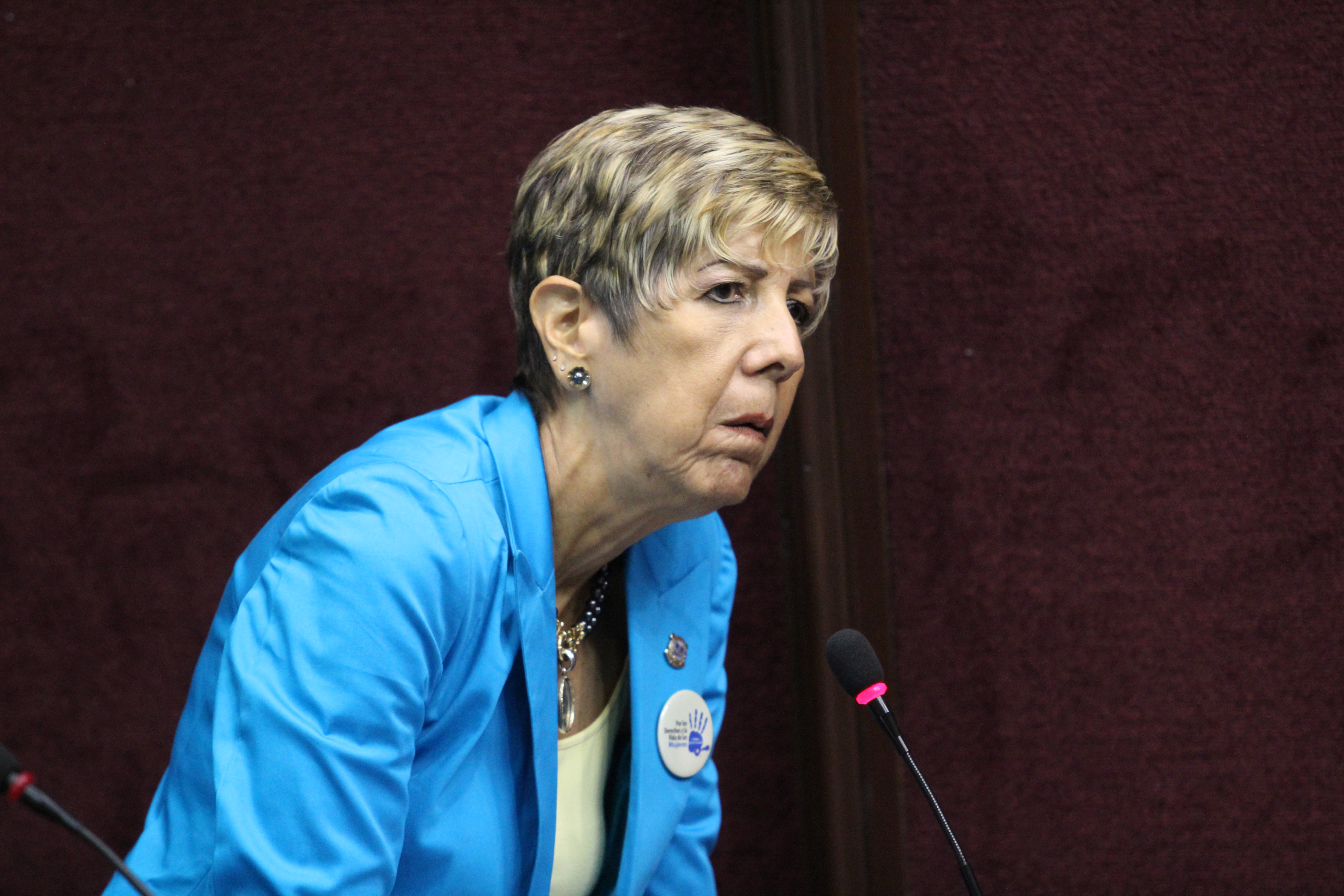 Ginette Bournigal de Jimenez, diputada