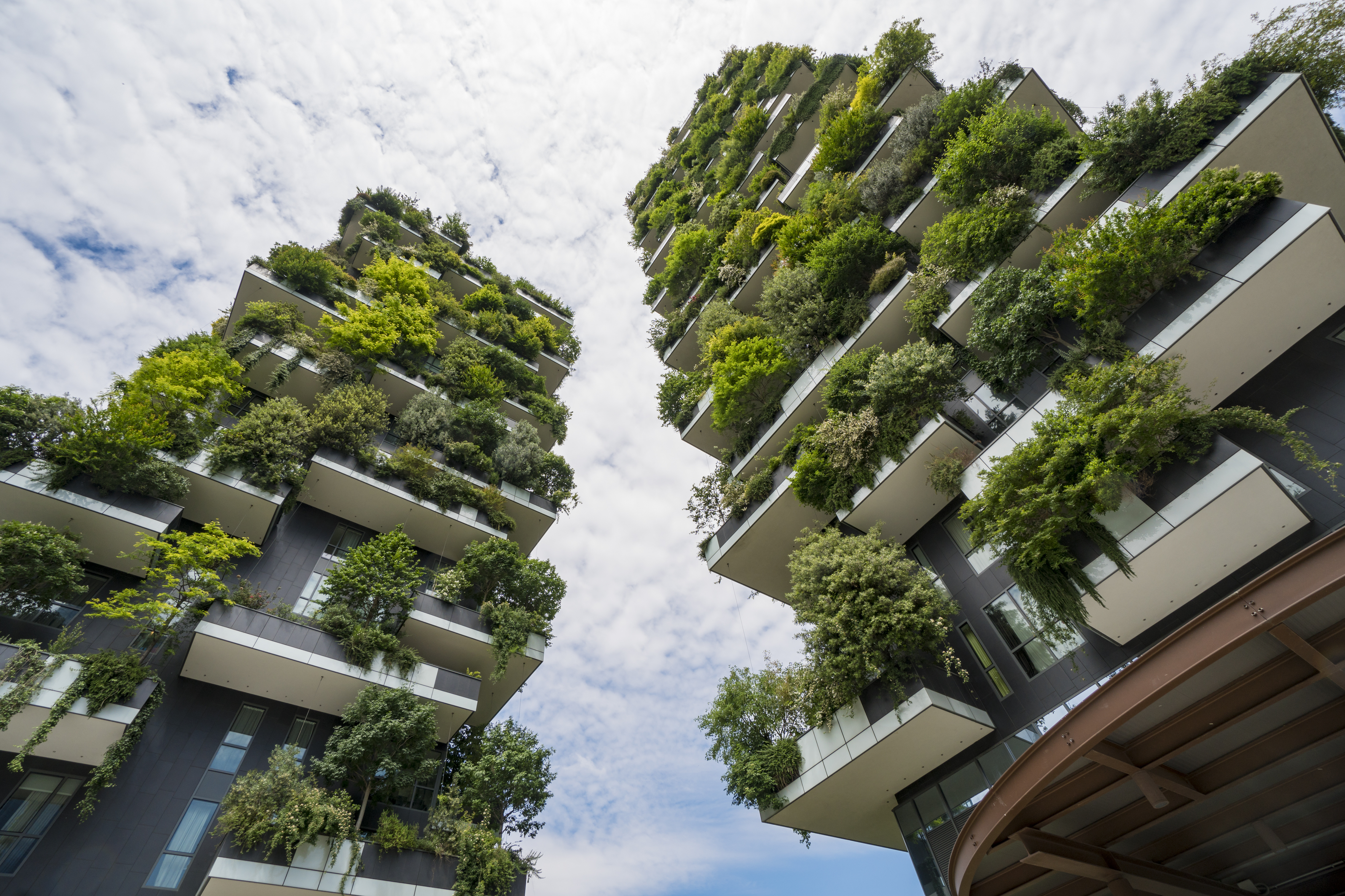 Bientôt des forêts verticales?