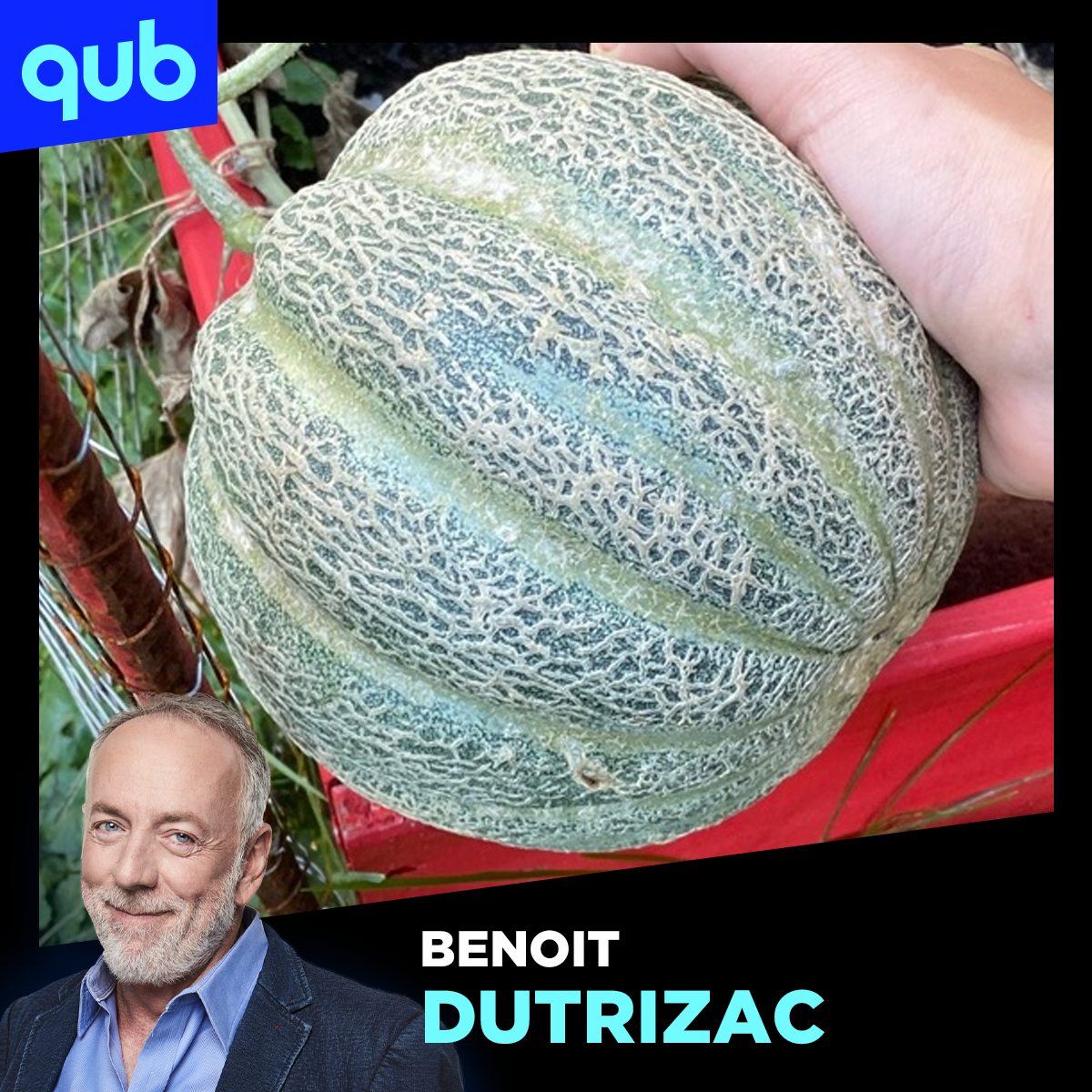 Connaissez-vous le melon de Montréal? 