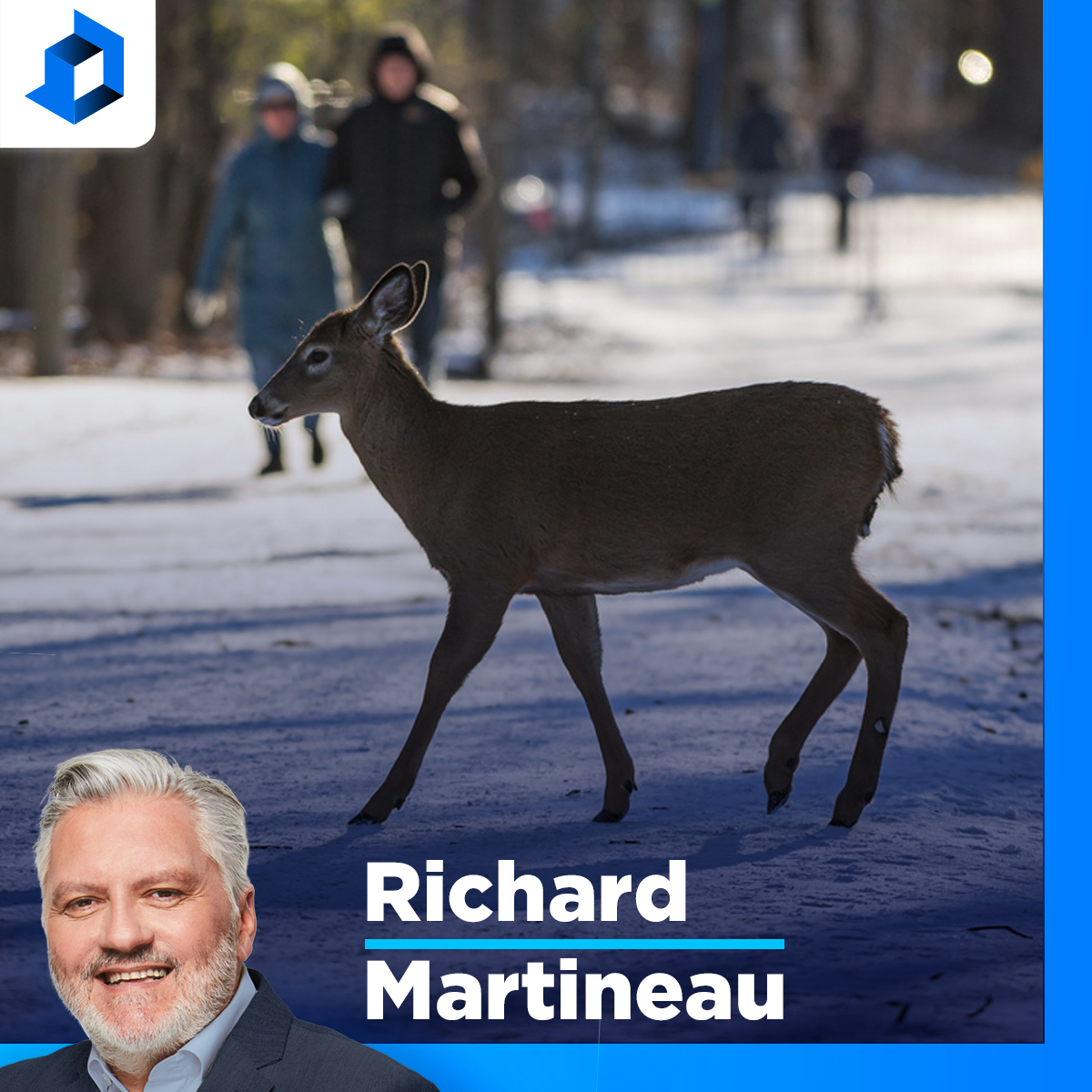 Cerfs de Longueuil : «Tout est basé sur des mensonges pour justifier l'abattage», dit  René Grignon,  défenseur des cerfs