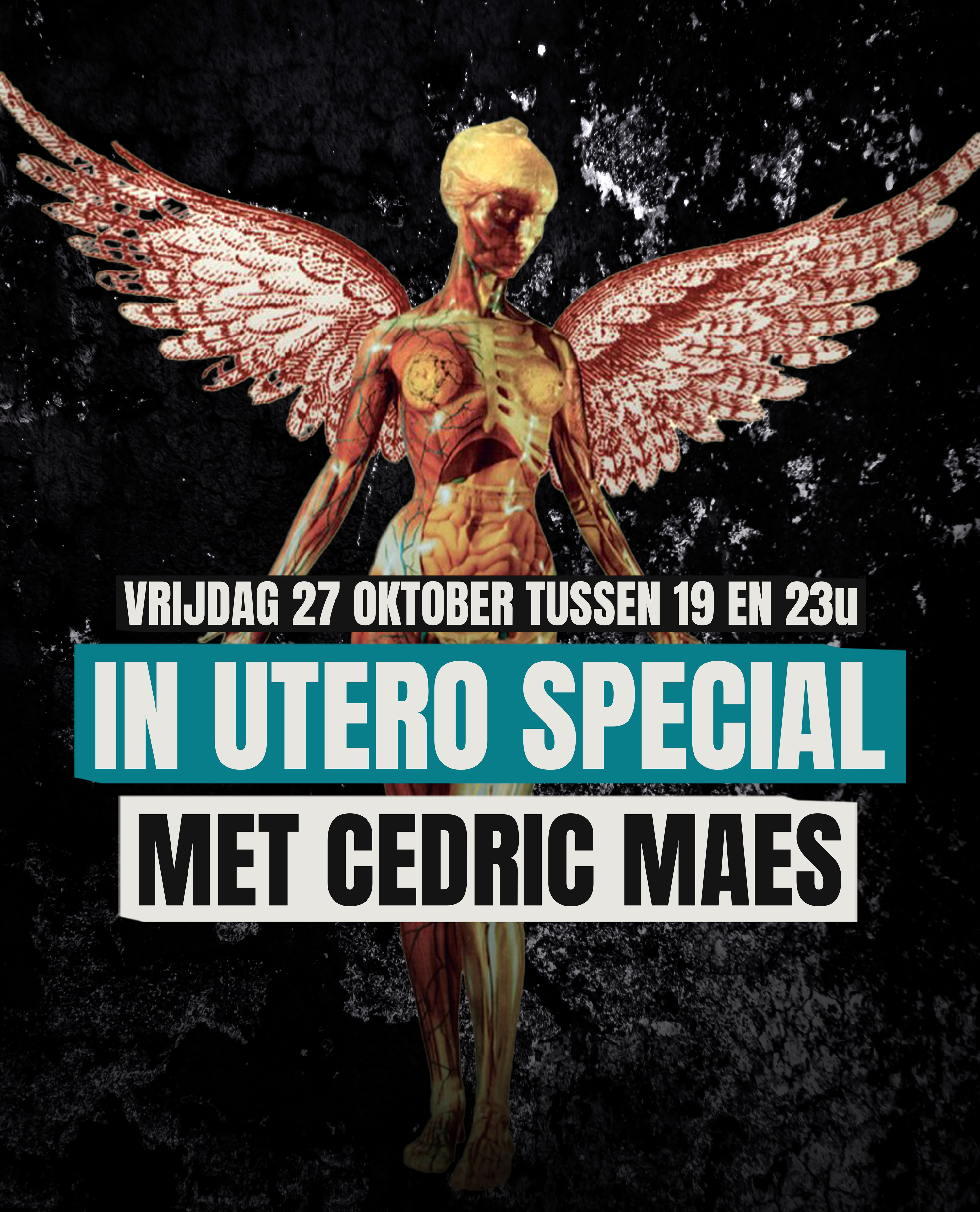 30 jaar In Utero van Nirvana - met Cedric Maes