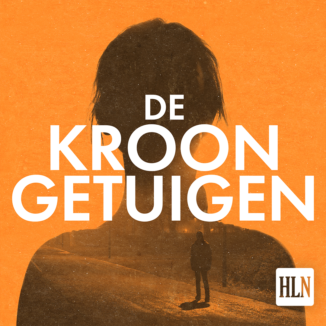 De Kroongetuigen: De Hamermoord