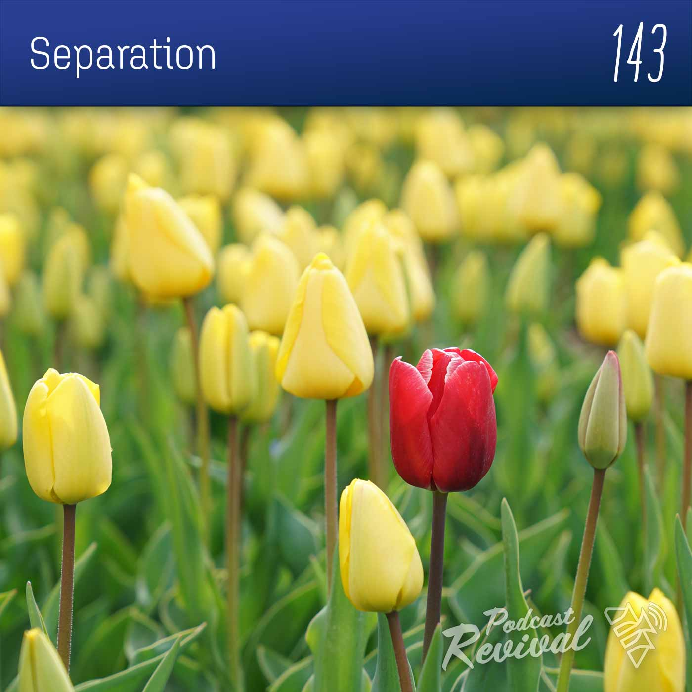 Separation - Pr Tony Sheridan - 143