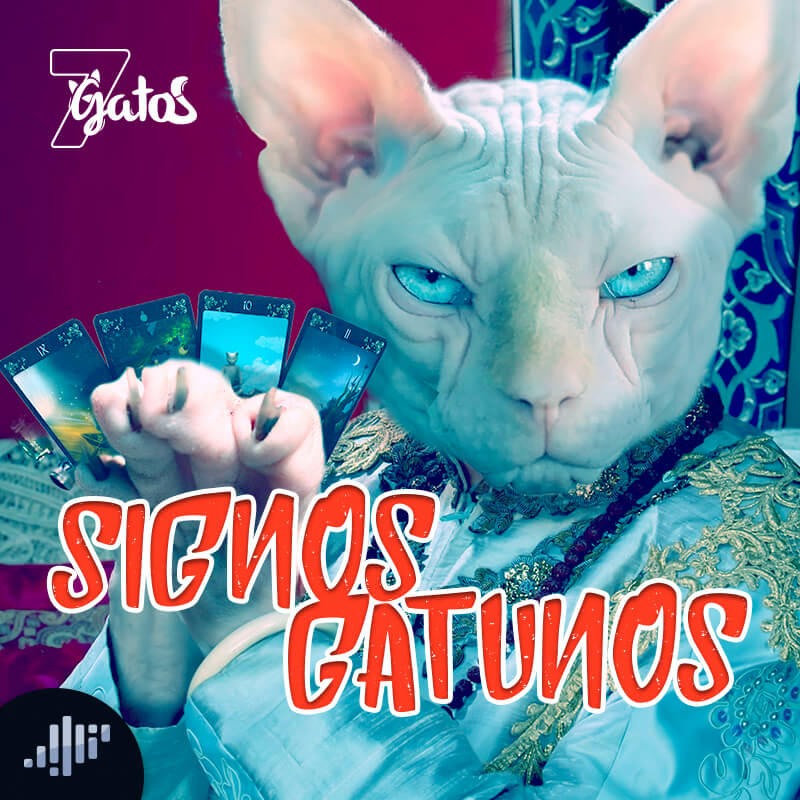 Tarot 2019 para gatos