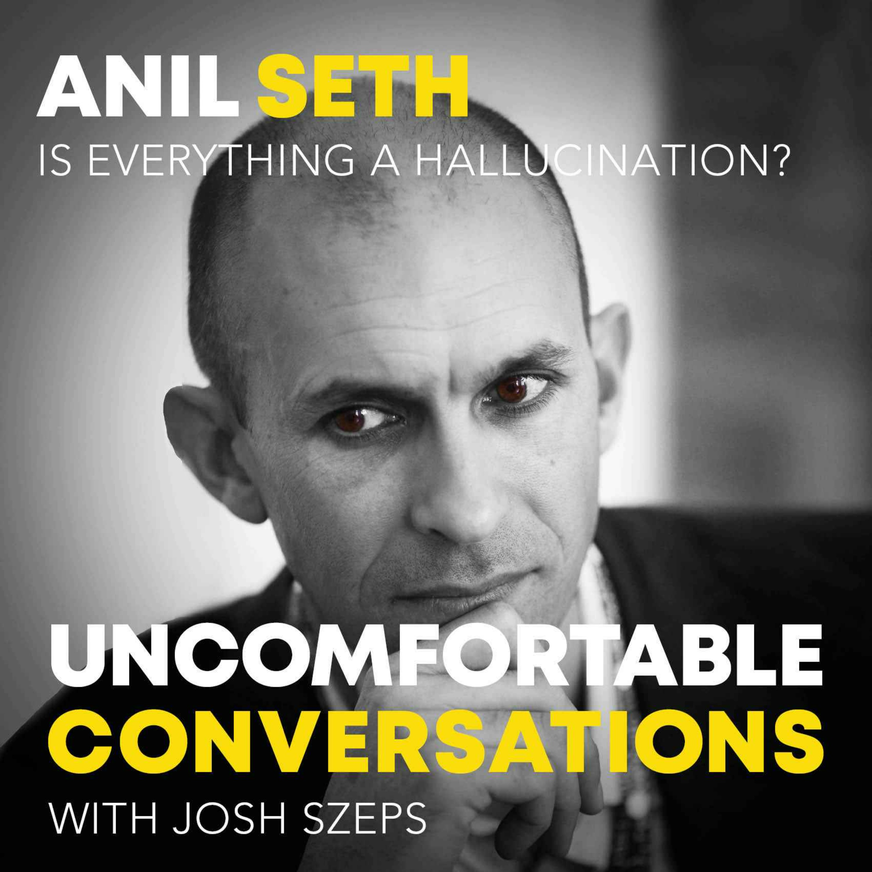 "Is Everything A Hallucination?" with Anil Seth - podcast episode cover