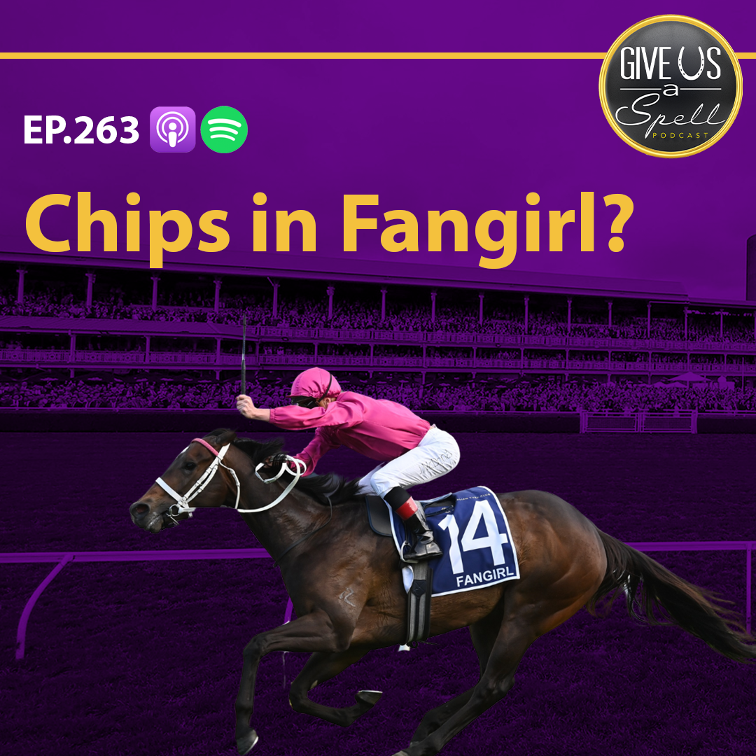 263 - Chips In Fangirl?