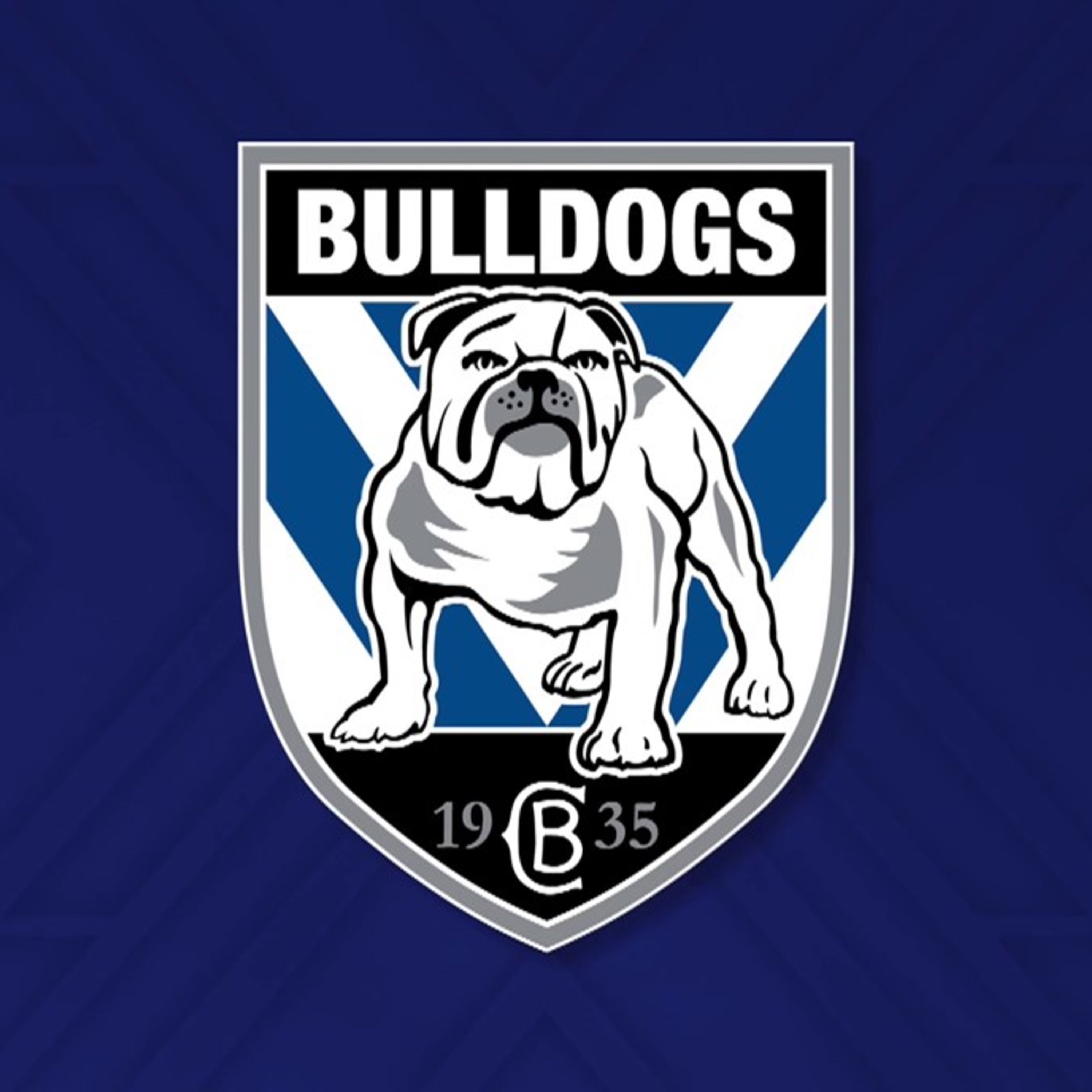 Canterbury Bulldogs - NRL Fantasy Preview 2023